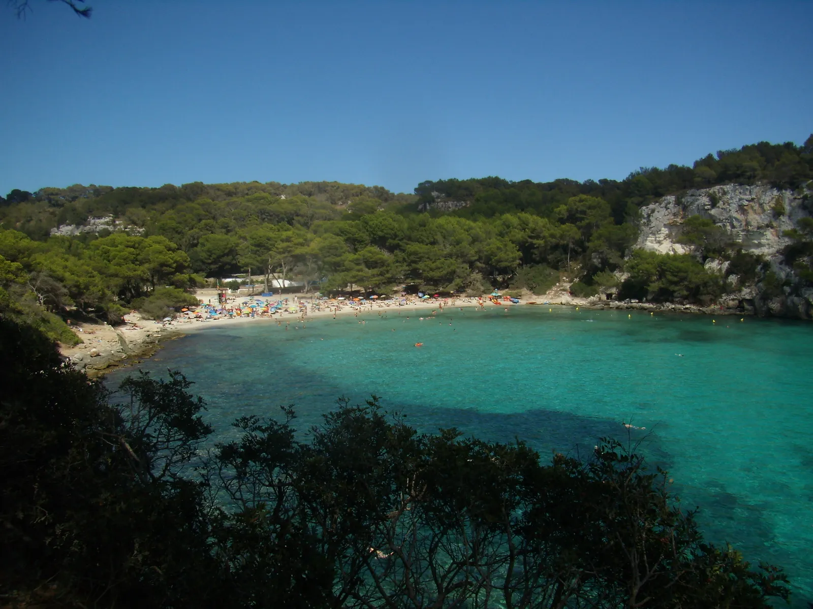 Cala Macarella (Menorca): white sand, turquoise water and pines to the shore.