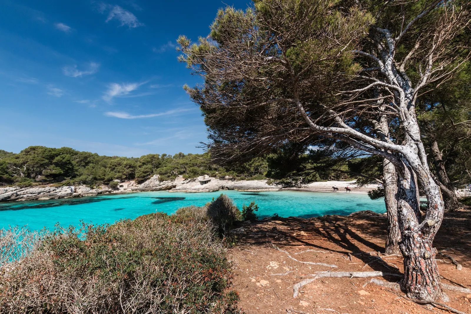 Cala en Turqueta