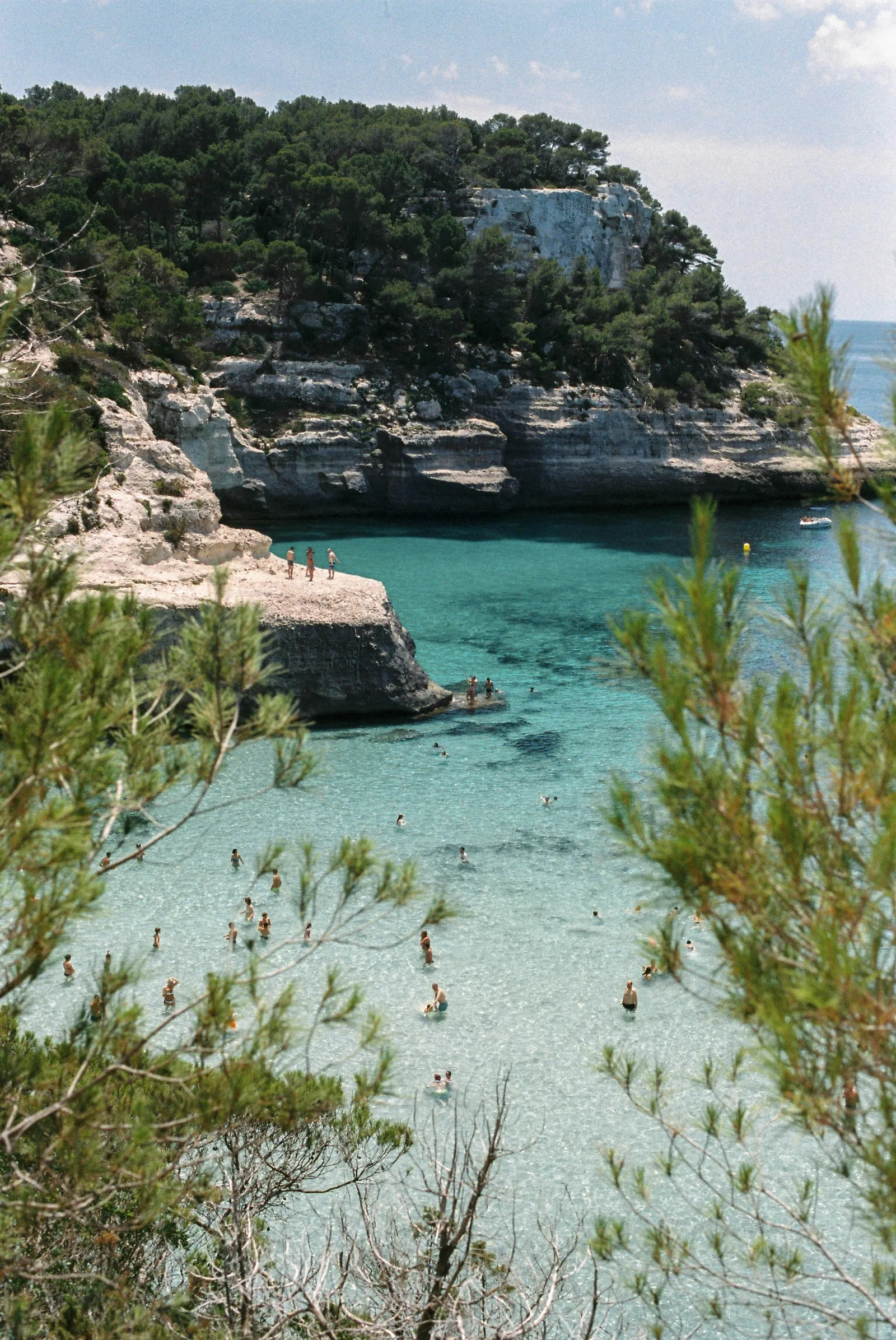Turquoise cove between cliffs and pines on the Camí de Cavalls, Menorca.